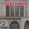 CrazyBird