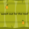 watch out for the roof